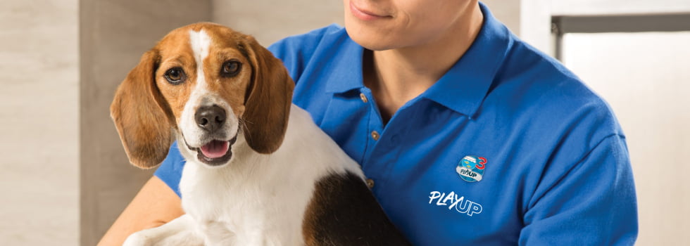 pet store employee with beagle